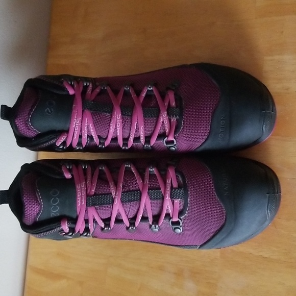 ECCO Biom Gore-Tex Terrain Akka Waterproof Hiking Shoes - Picture 5 of 13